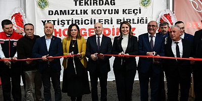 MALKARA KÜÇÜKBAŞ HAYVANCILIK FESTİVALİNE EV SAHİPLİĞİ YAPTI